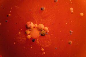 cells in red liquid