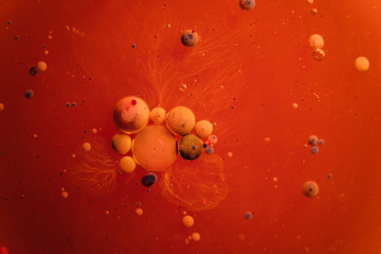 cells in red liquid