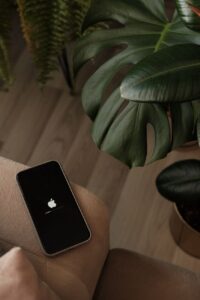 phone next to a plant