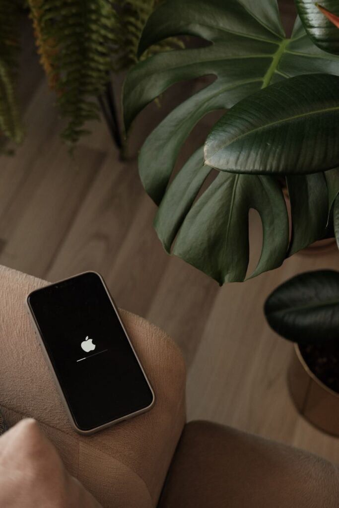phone next to a plant
