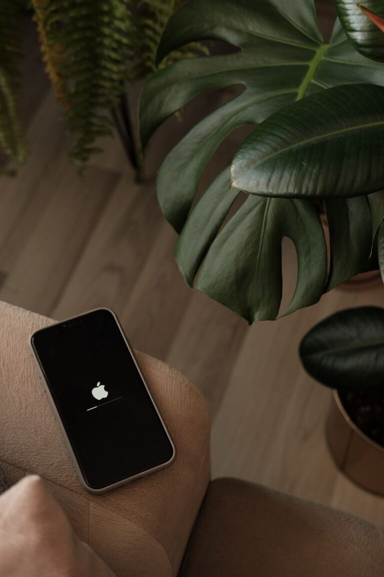 phone next to a plant
